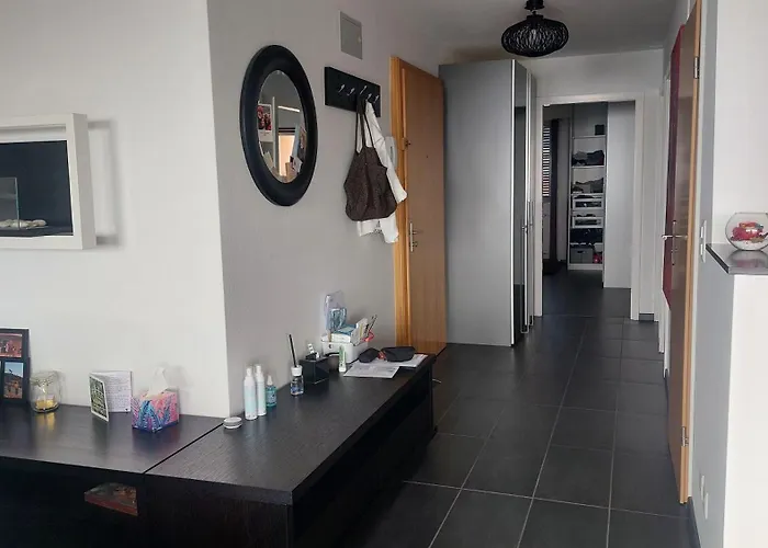 Appartement Sweet Avec Vue Incroyable Leman! A L'entree Du Lavaux Et Proche Lausanne